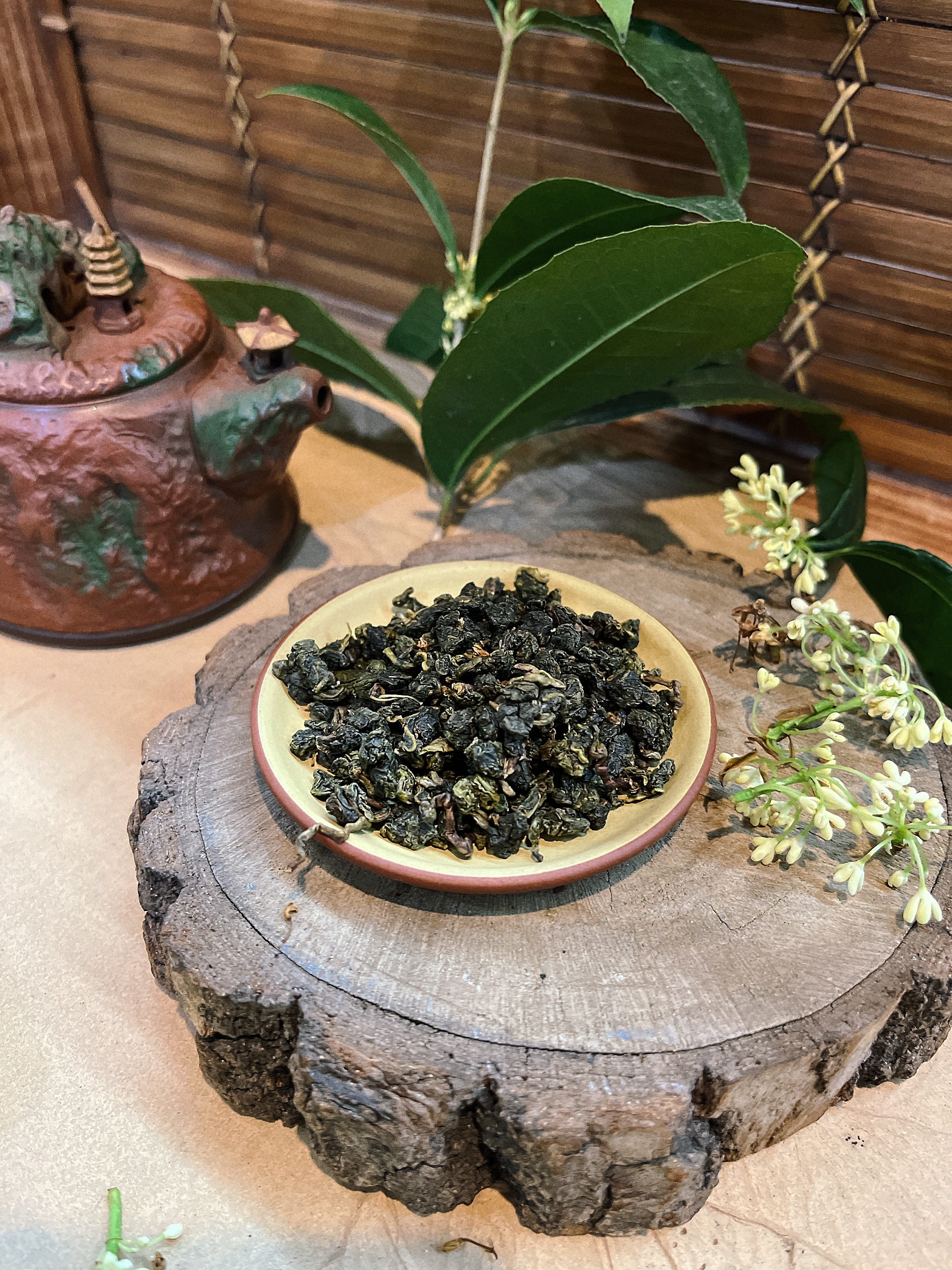 高山茶