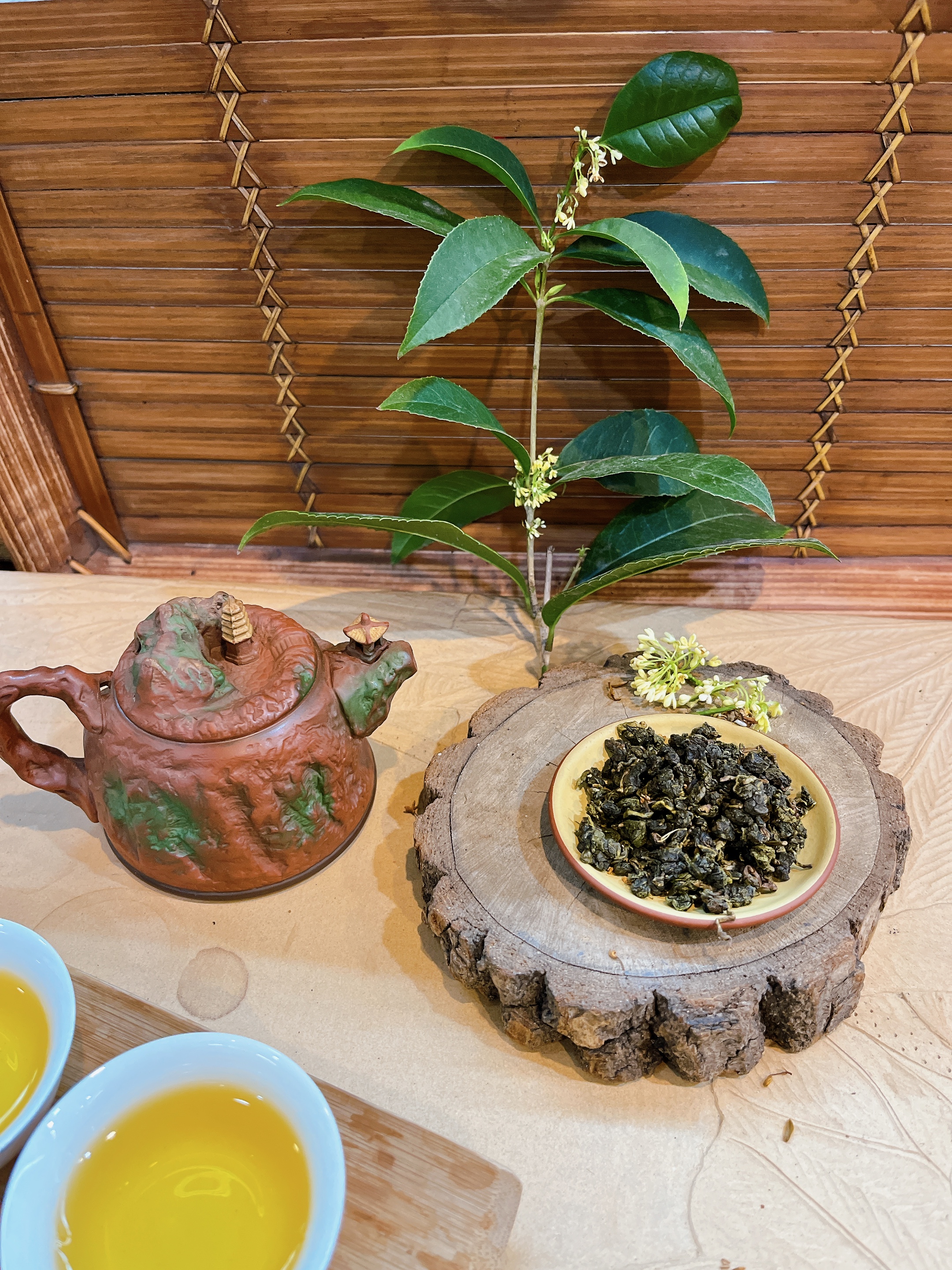 桂花烏龍茶